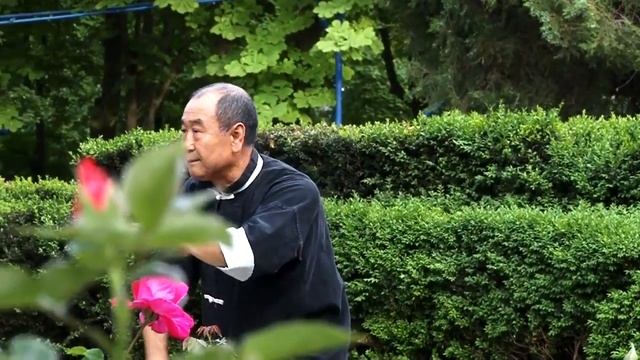 Bajiquan by wushu master Mu Yuchun смотреть онлайн