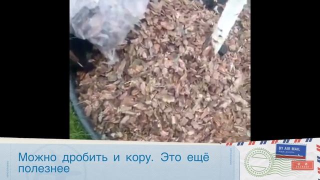 Мульчирование: как делать и зачем? смотреть онлайн