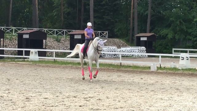 Виона . В темп. смотреть онлайн