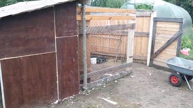 Тёплый сарай для кур. своими руками. из строительных отходов. смотреть онлайн