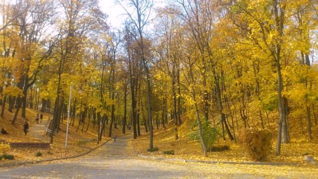 Осенний парк! смотреть онлайн