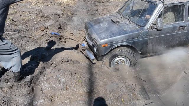 DSC 0449 смотреть онлайн