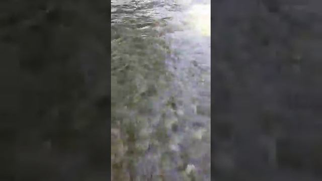 Чечня 11.06.2018.Сержень юрт.Река Хулхулао смотреть онлайн