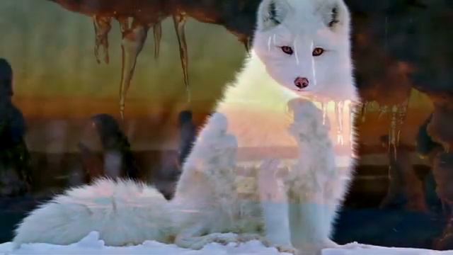 CANADA: WITH MUSIC FROM COMPOSER FELIX MENDELSSOHN смотреть онлайн