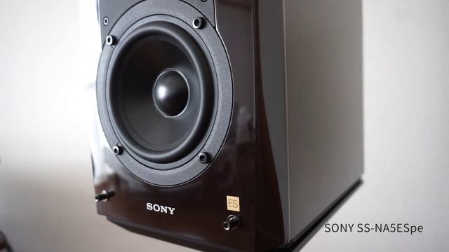 SONY SS-NA5ES Premium Edition смотреть онлайн