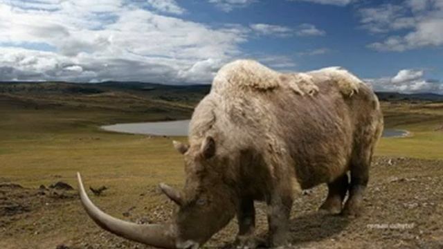 древние виды животных смотреть онлайн