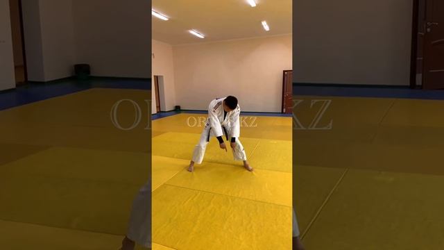 Дзюдо видео 2, детальный разбор передней подножки (Tai Otoshi) ORTUS.KZ смотреть онлайн
