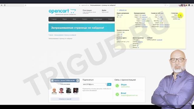 Аудит сайта по разработке интернет-магазинов смотреть онлайн