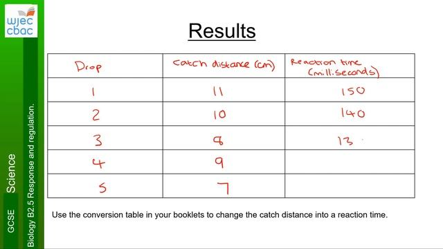 Science Biology Year 11 B2 5 lesson 3 reaction times смотреть онлайн