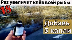 В 18 раз увеличивает клёв. Активатор клева. Мега насадка . Карась. Карп. Рыбалка