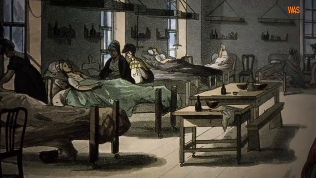 Мировая история акушерства смотреть онлайн