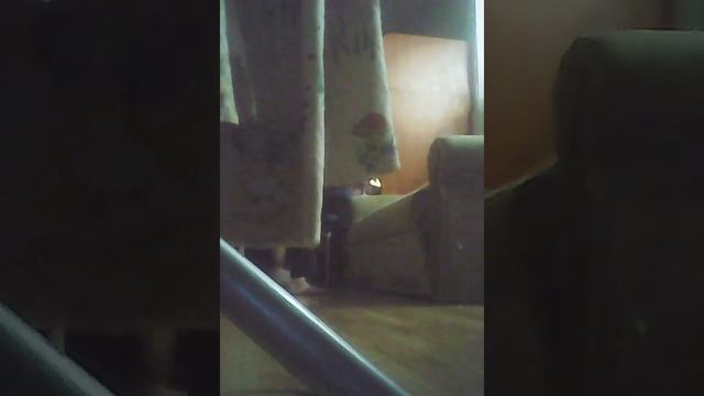 Скрытая камера