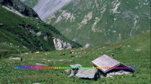 Патя Меджидова - Свадебная 2023