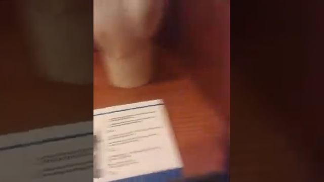 В подвале храма музей Гауди смотреть онлайн