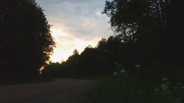 Релакс в поле медитация смотреть онлайн