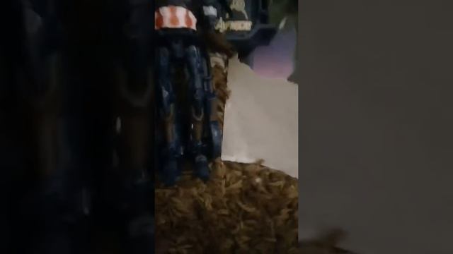 Дети не дали снять.Продолжение следует...❤