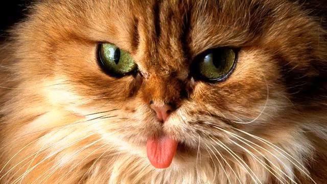 Музыка на каждый день. Душевно! Тащусь! смотреть онлайн