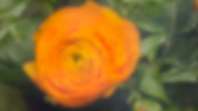 Тебе алименты пришли? Спросил бывший муж. Это деньги дочери. Дай нам на мороженое. Аудио рассказ смотреть онлайн