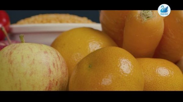 Лидерские каникулы New Star 2024