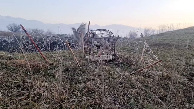 6 января 2024 г. смотреть онлайн