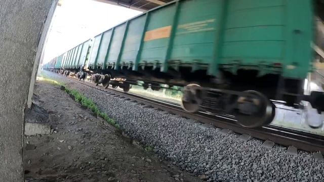 Поезд белый шум смотреть онлайн