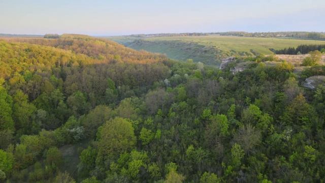 Летаем над рекой Воргол от Нижний Воргол до Усадьбы Талдыкина смотреть онлайн