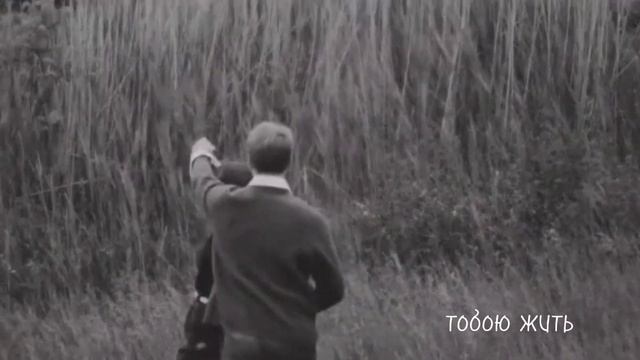 Озвучка стихотворения «Тебя», Полина М. смотреть онлайн