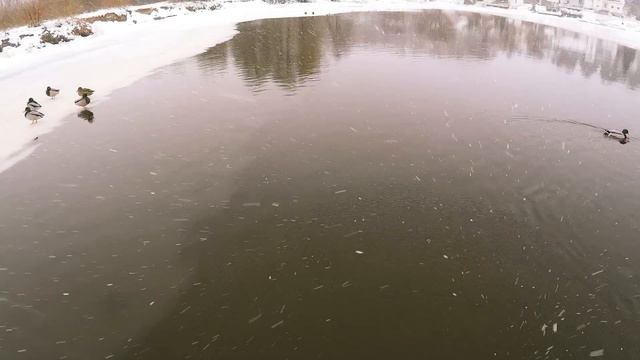 Phantom P330 with Zenmuse H3-2D GoPro4 black смотреть онлайн