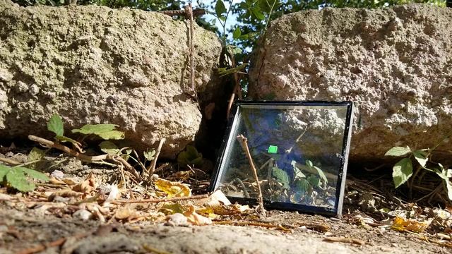 Пробьёт ли МР-512 стеклопакет?!