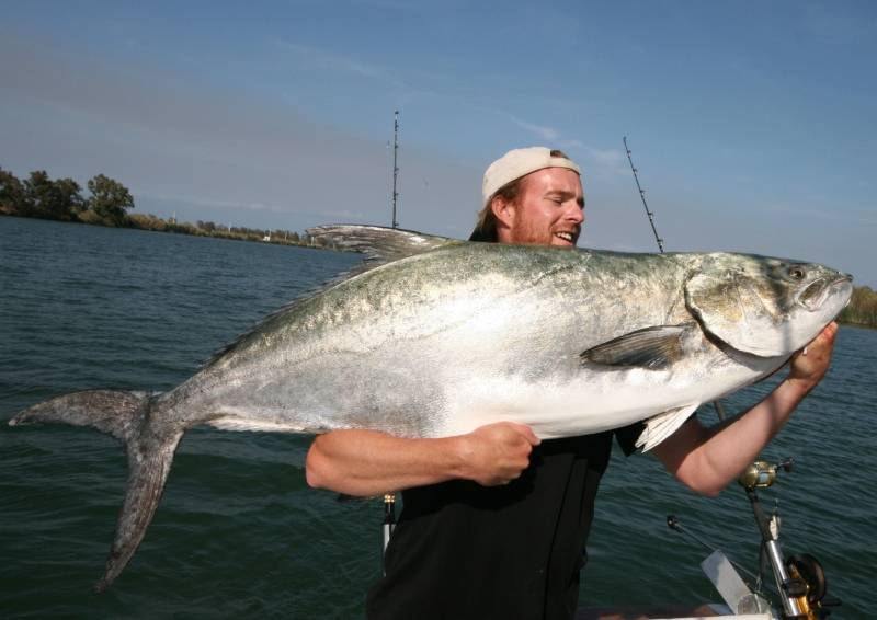 305.Трофеи 89.mp4 смотреть онлайн