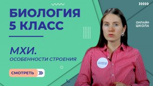 Мхи. Особенности строения. Видеоурок 25. Биология 5 класс