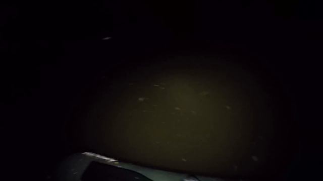 ПОСТАВУШКИ на НАЛИМА! Ночная рыбалка 2022