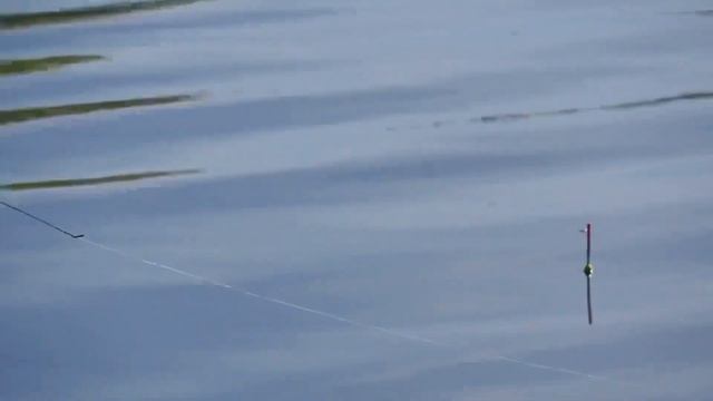 Забрала удочку у мужа. Мой первый опыт ловли на поплавочную удочку . смотреть онлайн