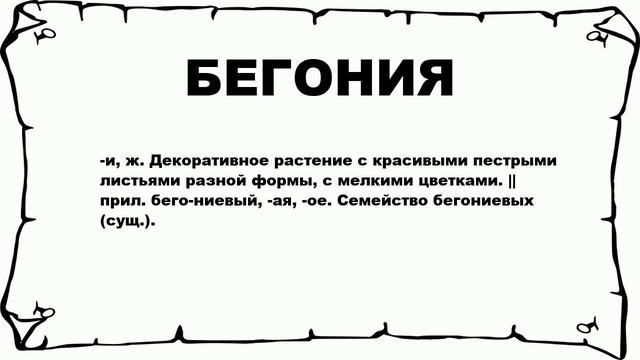 БЕГОНИЯ - что это такое? значение и описание смотреть онлайн