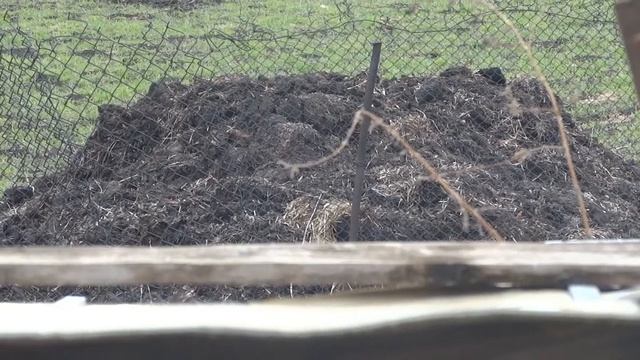 Как использовать навоз на даче смотреть онлайн