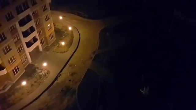 Дворовые собаки преследуют лазер смотреть онлайн