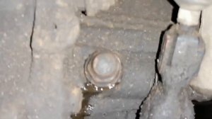 Замена масла в коробке передач Форд фокус 2. 1.6 МКПП