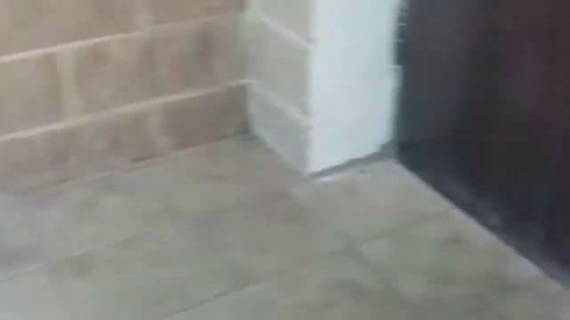 Редкий домофон vizit смотреть онлайн