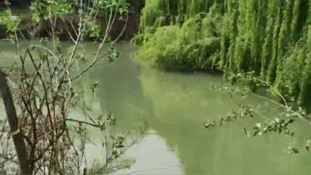 САМАРКАНД! Рыбалка, отдых на природе! @ranokamolova