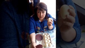 Инкубация мускусных утят в Блиц