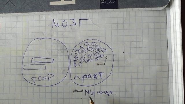 Хочешь хорошую оценку? Важно понять тогда как устроен мозг! смотреть онлайн