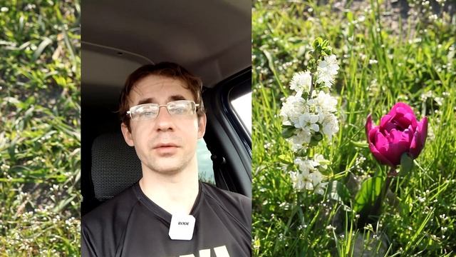 Алексей Чернов. Добродетель неуверенности. смотреть онлайн