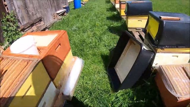 Уходим от роения и боремся с клещем весной многие этот момент упускают Как обработать больше семей смотреть онлайн