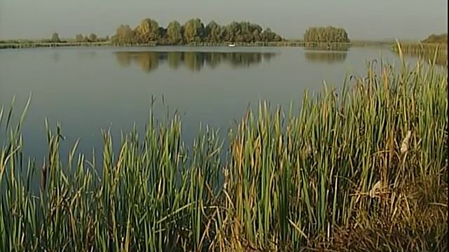 Рыбак Рыбаку 052 "Щука на спиннинг". смотреть онлайн