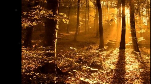 Asato Ma Sadgamaya Mantra of Peace..... смотреть онлайн