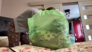 СОБИРАЮ РЕБОРНА ТОБИАХА В БОЛЬНИЦУ ТОБИАХА ВЫРВАЛО РЕБОРН ЗАБОЛЕЛ СОТРЯСЕНИЕ МОЗГА Reborn is sick🤒