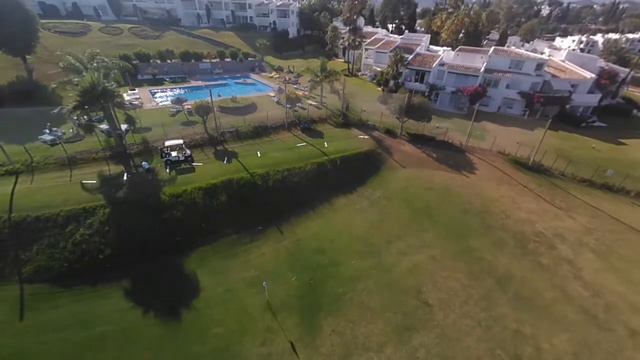 Xiro Xplorer Mini Gets Attacked By Hornets смотреть онлайн
