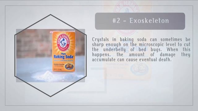 How to Kill Bed Bugs Using Baking Soda | The Guardians Choice смотреть онлайн