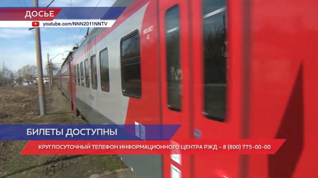 Уютные уголки с животными