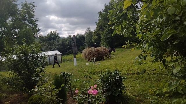Косметический ремонт дачи!#дача#ремонт#теплица# смотреть онлайн